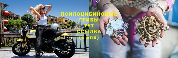 экстази Гусиноозёрск