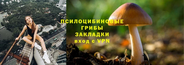 экстази Гусиноозёрск