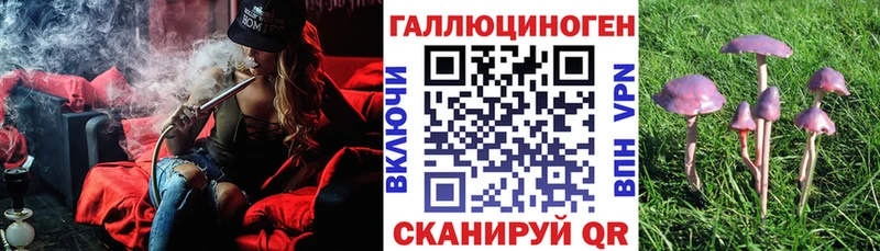 что такое   Заозёрск  Галлюциногенные грибы MAGIC MUSHROOMS 